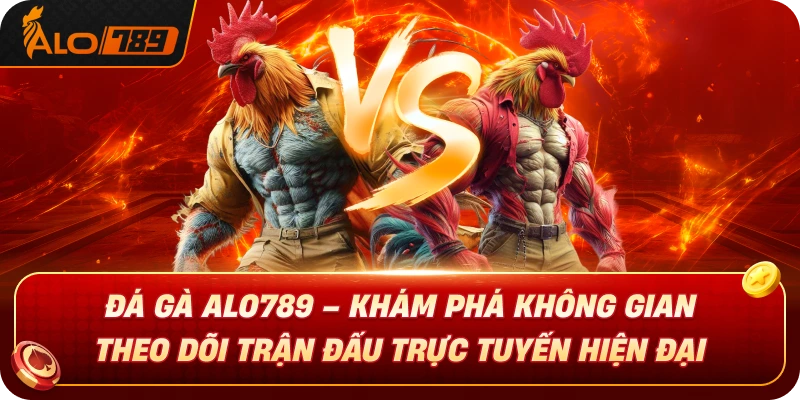 da-ga-alo789-kham-pha-khong-gian-theo-doi-tran-dau-truc-tuyen-hien-dai